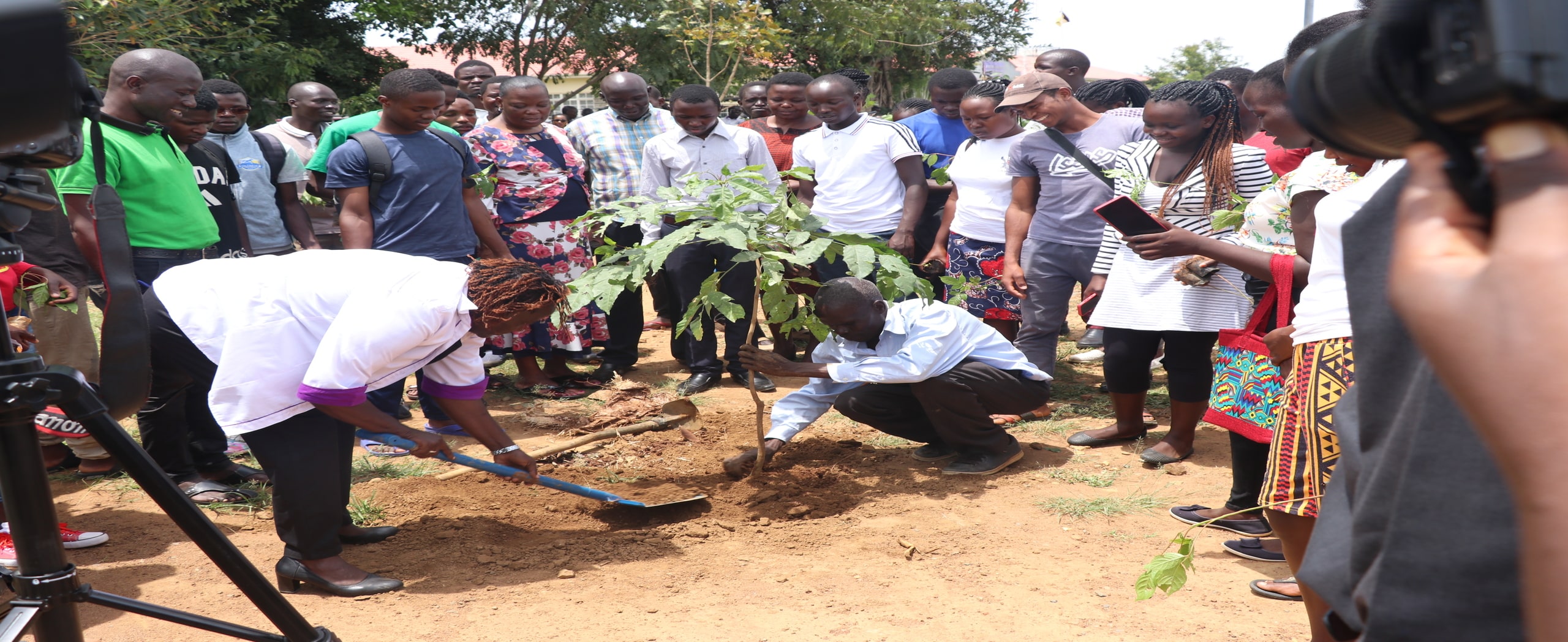 The DVC (AFD) Prof. Emmy Kipsoi leads Alupe university staff and students in conjunction with AU peace club, Linda mazingira, Dedan kimathi foundation and Kenya forest service in planting over 10,000 tree seedlings in alupe university grounds.